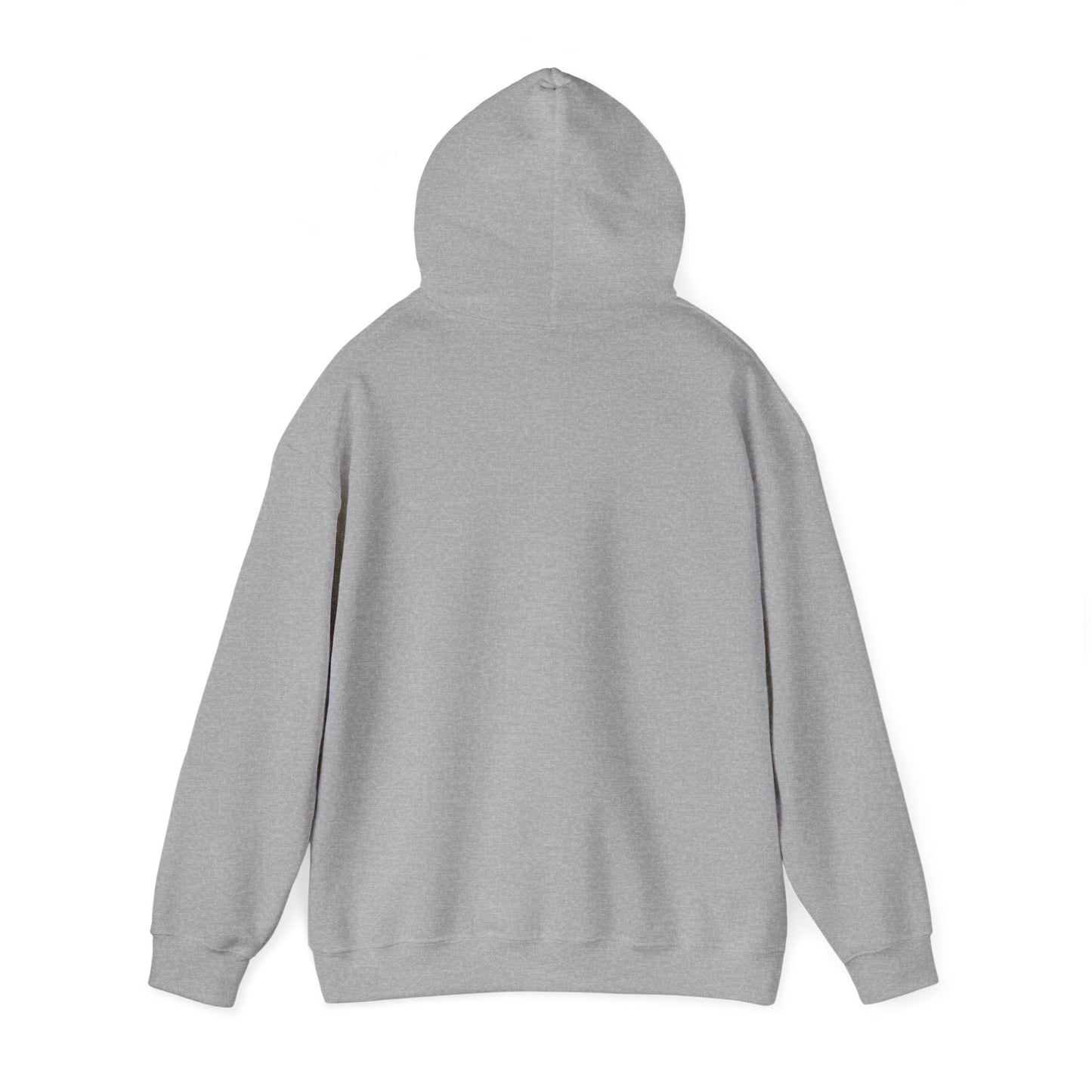 Cozy Hoop Conscious Everyday Hoodie Sports Grey Color - Hoop Conscious