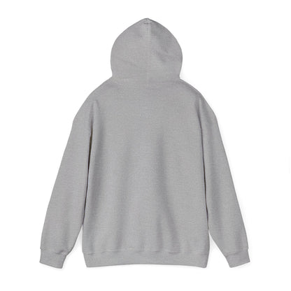 Cozy Hoop Conscious Everyday Hoodie Sports Grey Color - Hoop Conscious