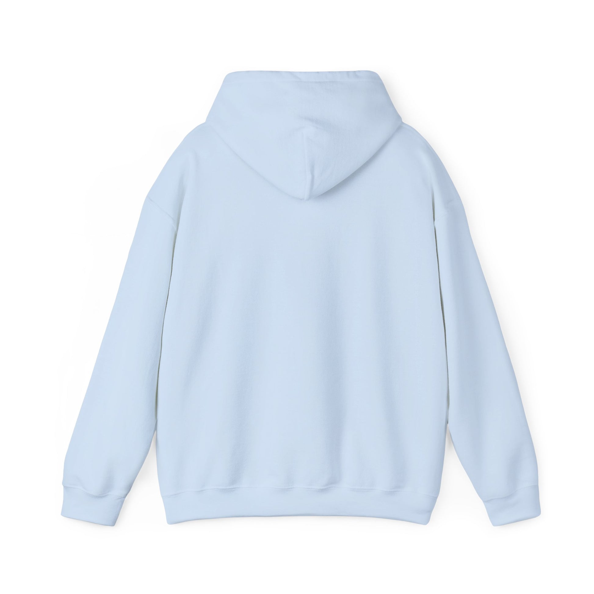 Cozy Unisex Basketball Hoodie for Game Day, Light Blue Color - Hoop Conscious