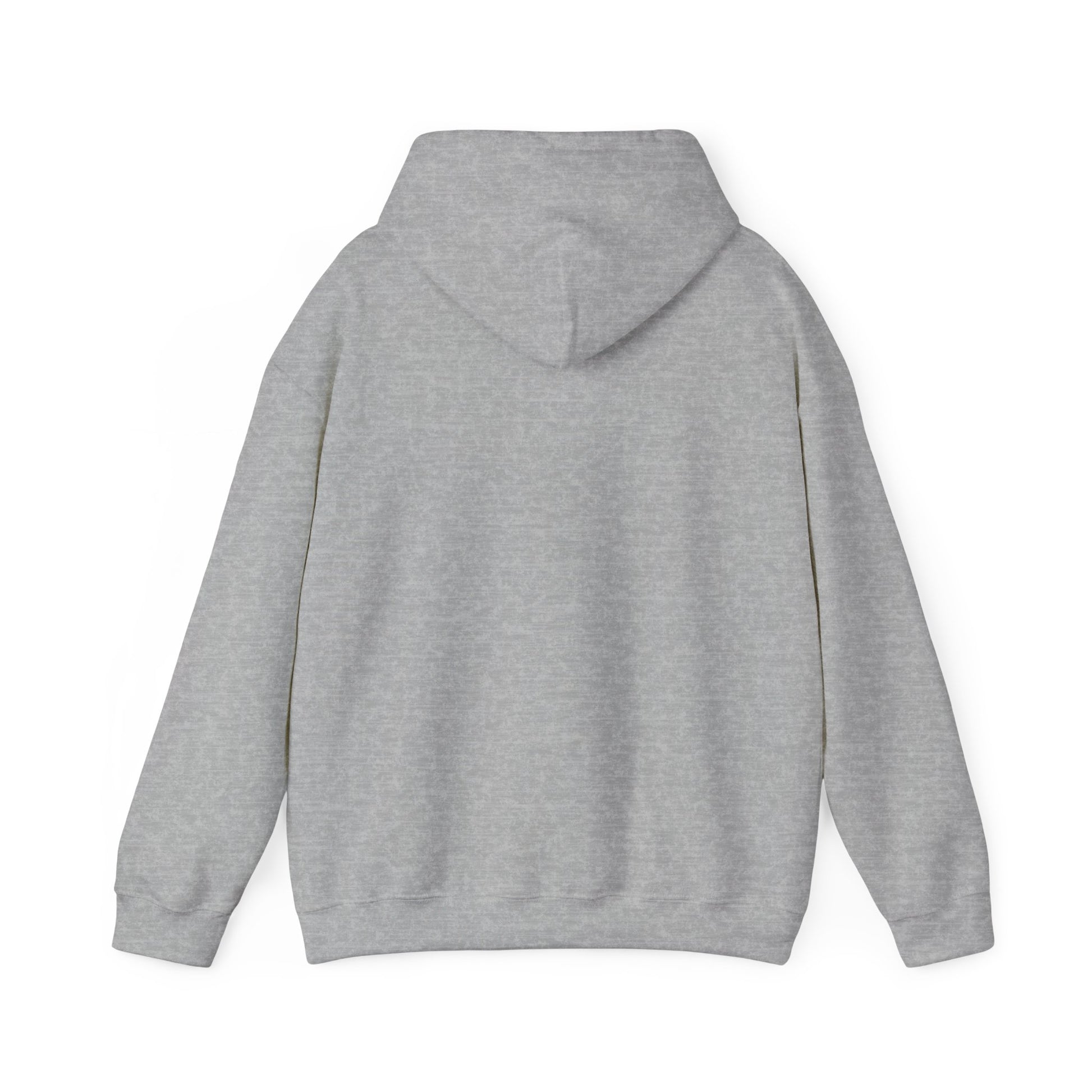 Cozy Hoop Conscious Everyday Hoodie Sports Grey Color - Hoop Conscious