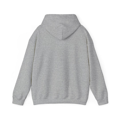 Cozy Hoop Conscious Everyday Hoodie Sports Grey Color - Hoop Conscious